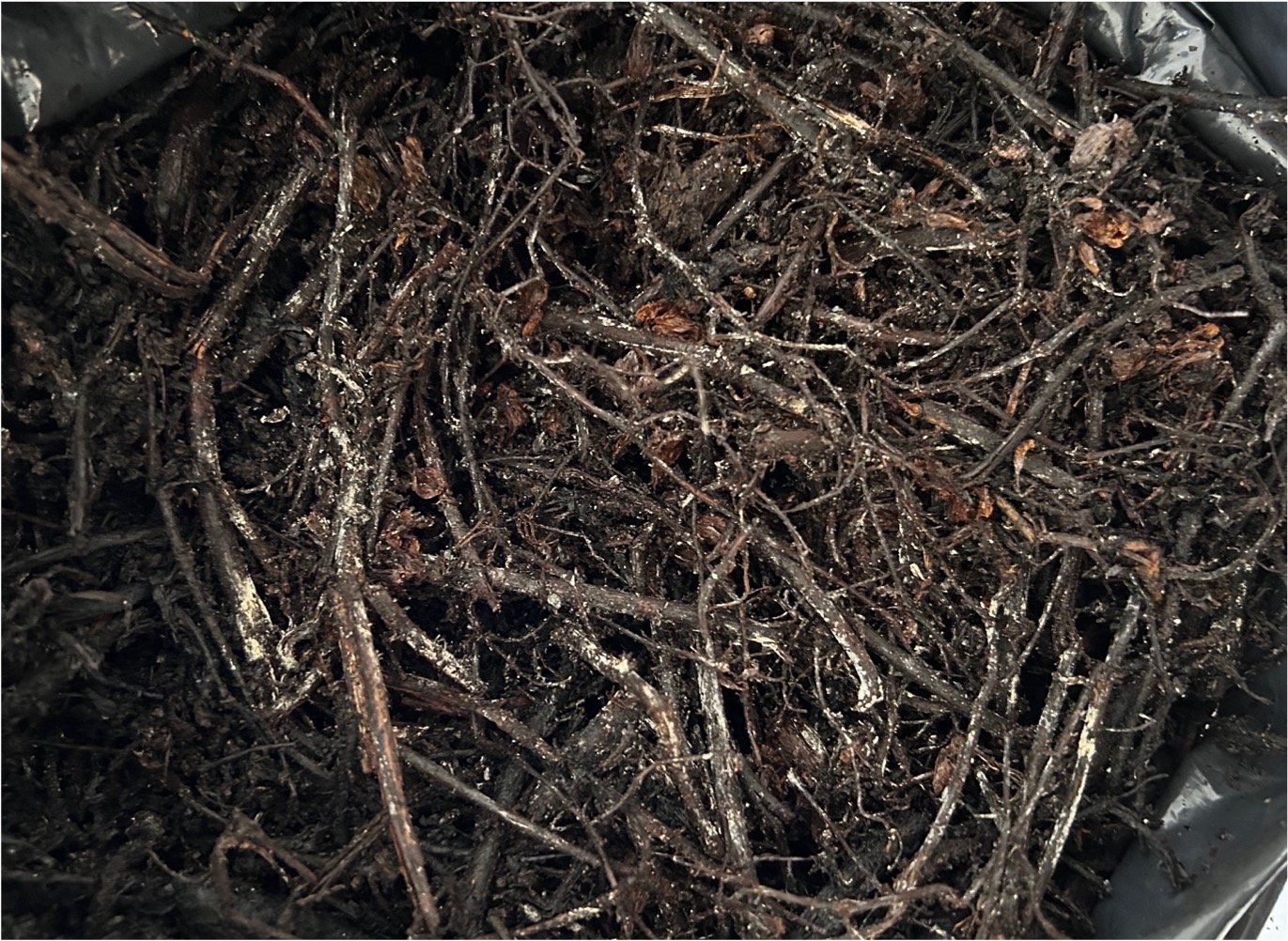 Composting, Sample treated with Biokomposter - very well mineralised organic matter