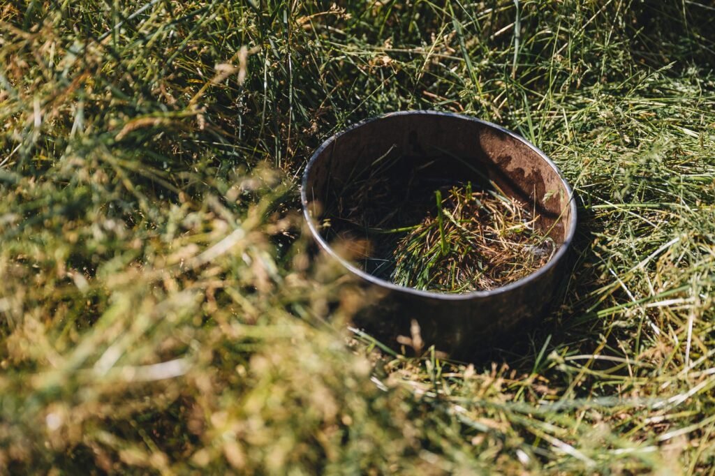 soil compaction in fields