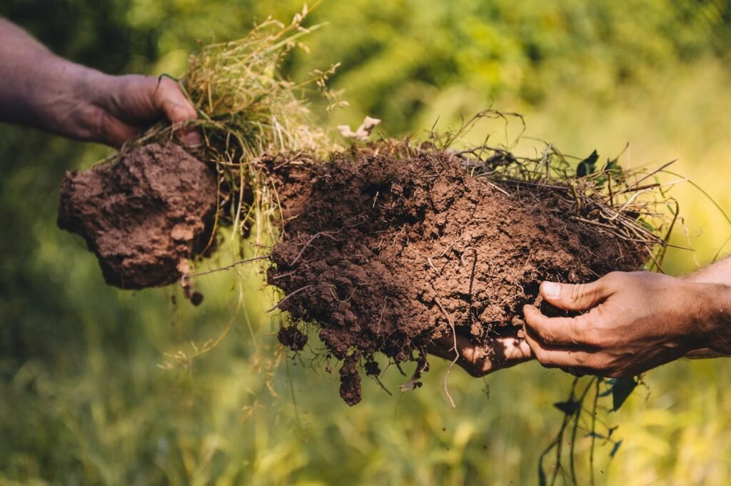soil compaction in fields, shallow roots in crops