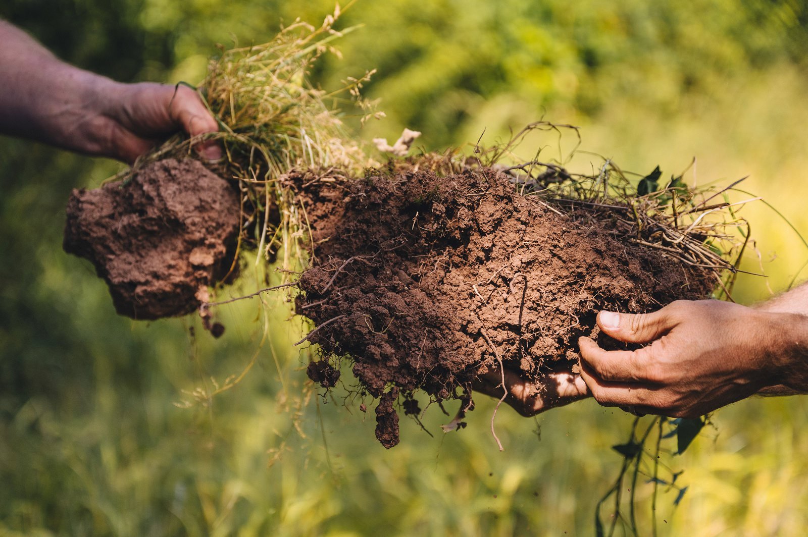 soil compaction in fields
