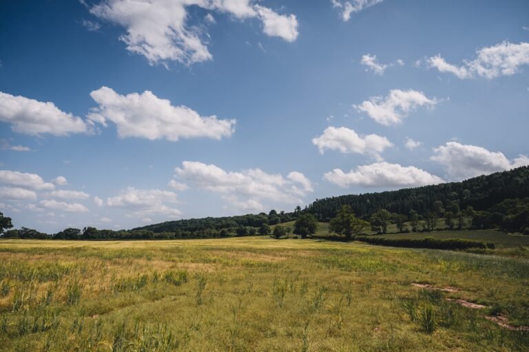 reduce nitrogen fertiliser use