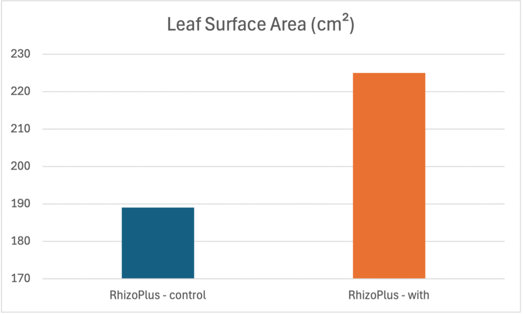 sorghum biofertiliser field trial