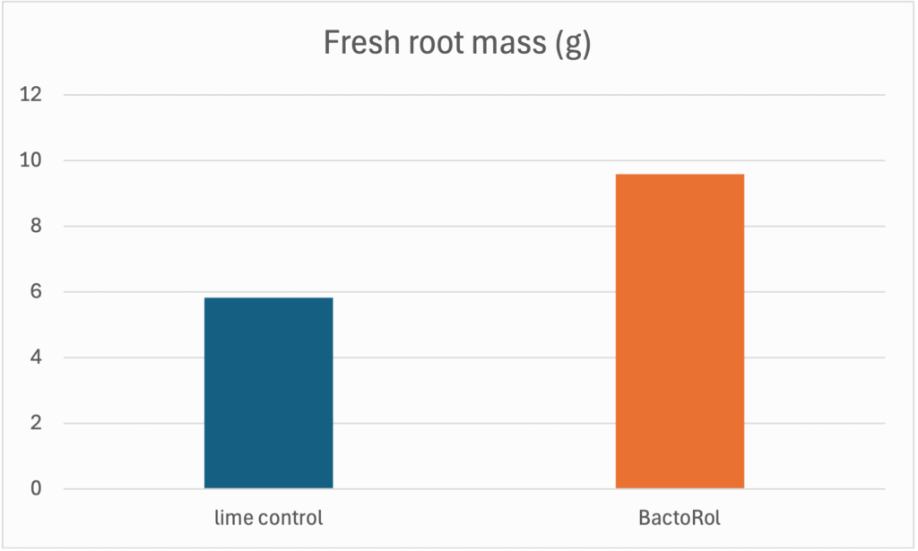 bacillus biostimulant