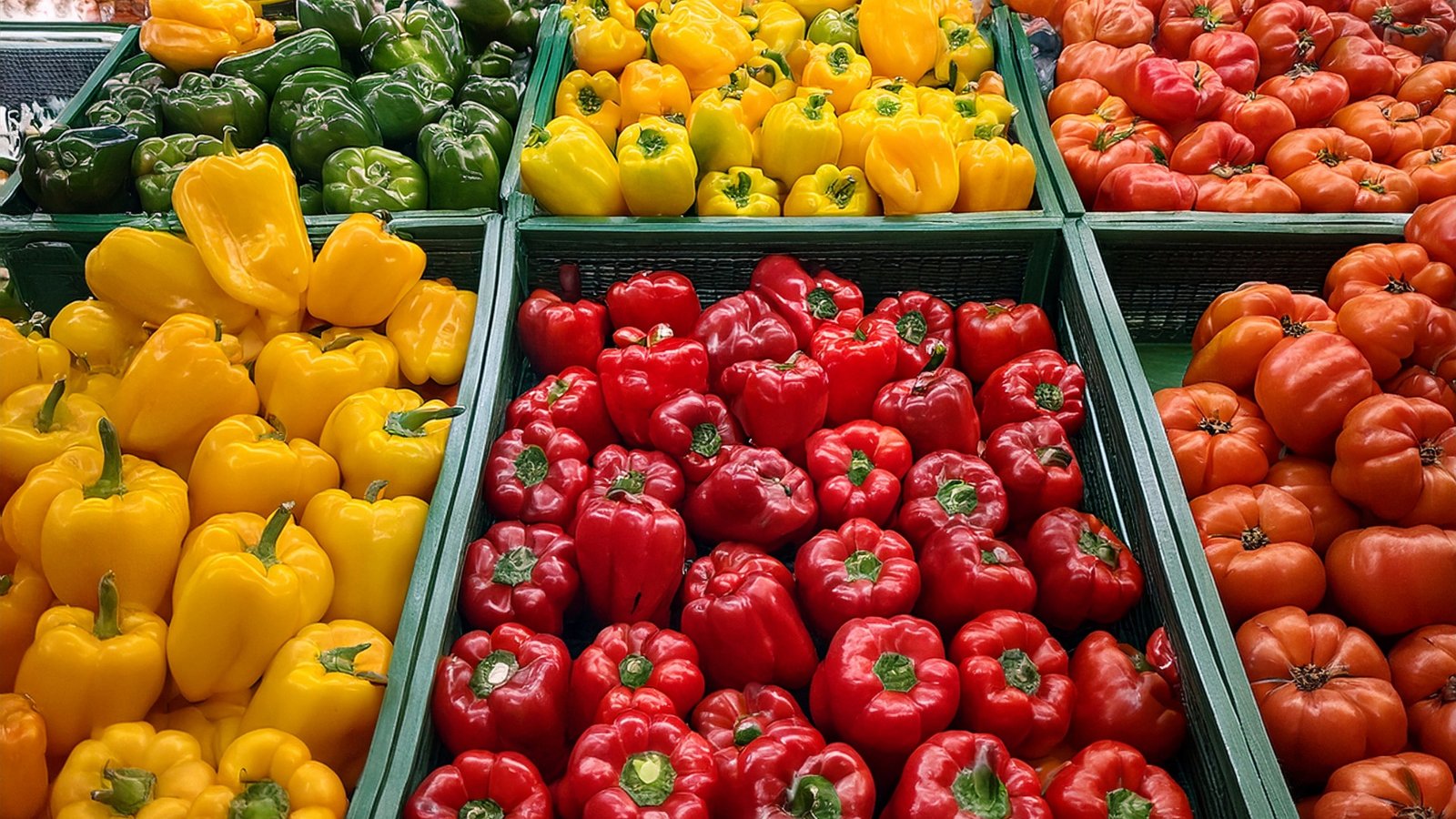 Biofertiliser for peppers