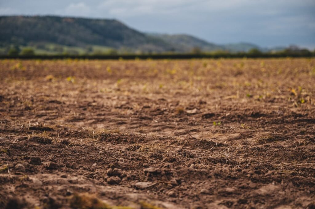 Fertiliser shortage 2026