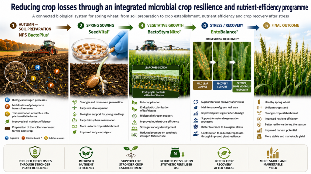 reducing crop losses with 4 microbial Bactotech products