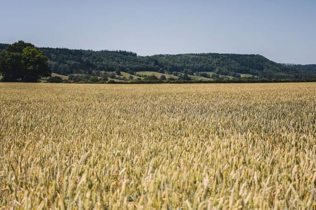 reducing crop losses